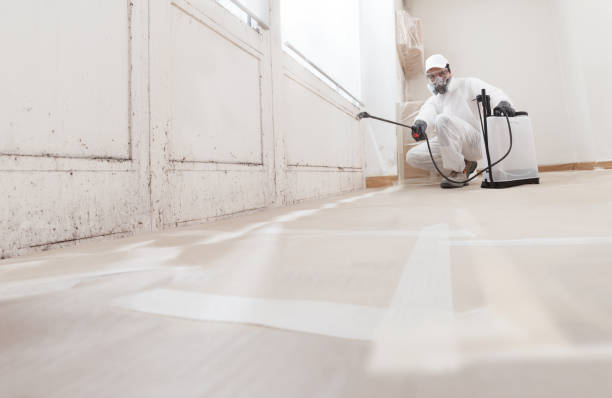 Black mold remediation team in Whitakers